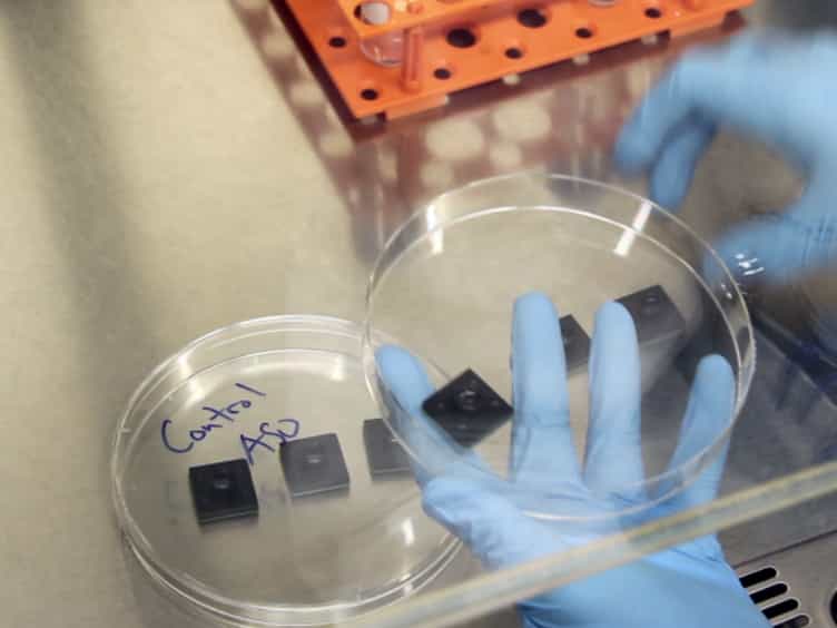 Evaluating the Effectiveness of Cancer Drug Sensitization In Vitro and In Vivo
