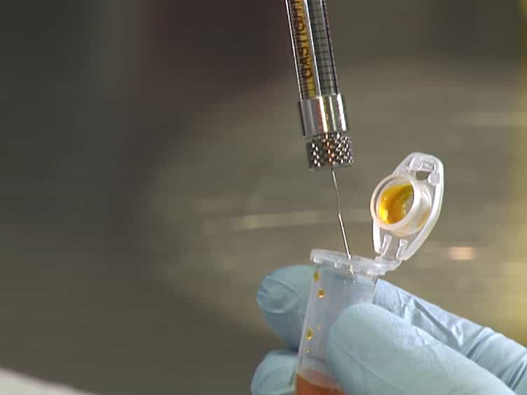 Using Adeno-associated Virus as a Tool to Study Retinal Barriers in Disease