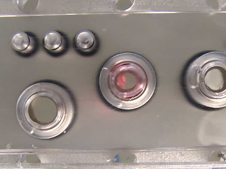 The Multi-organ Chip - A Microfluidic Platform for Long-term Multi-tissue Coculture