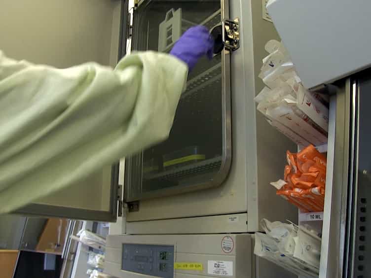 Pairwise Growth Competition Assay for Determining the Replication Fitness of Human Immunodeficiency Viruses