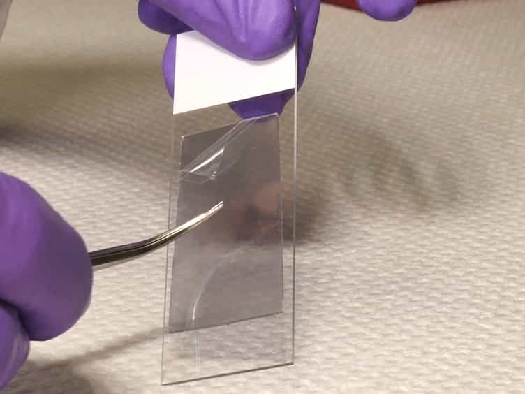 Enhanced Genetic Analysis of Single Human Bioparticles Recovered by Simplified Micromanipulation from Forensic ‘Touch DNA’ Evidence