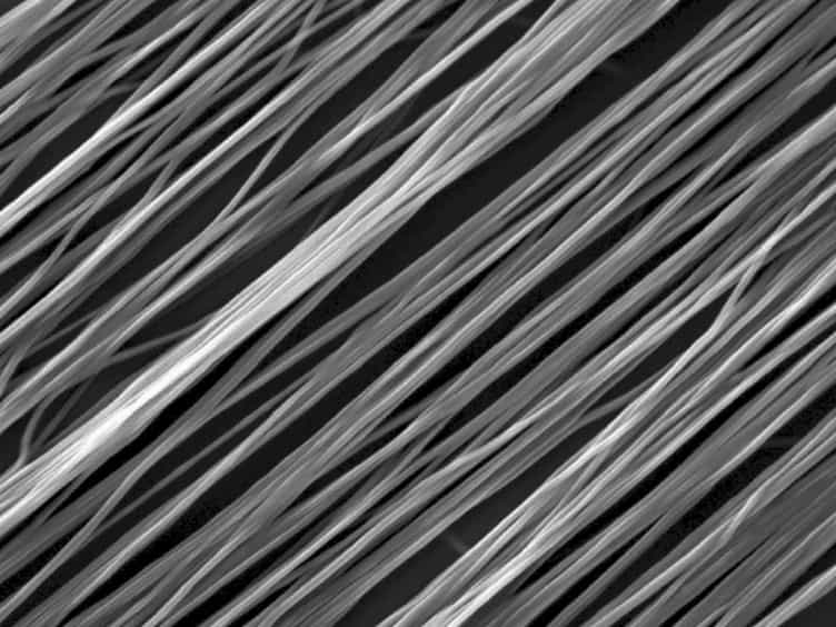 Electrospun Nanofiber Scaffolds with Gradations in Fiber Organization