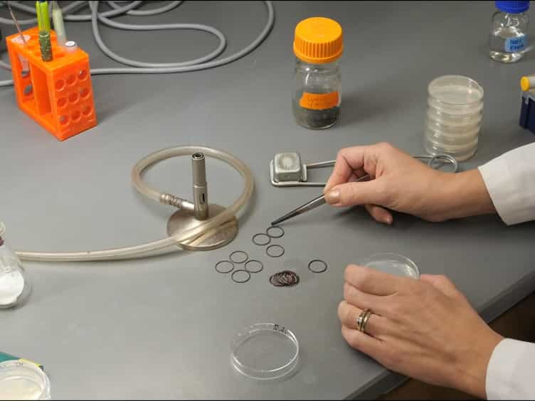 An Assay for Measuring the Effects of Ethanol on the Locomotion Speed of Caenorhabditis elegans