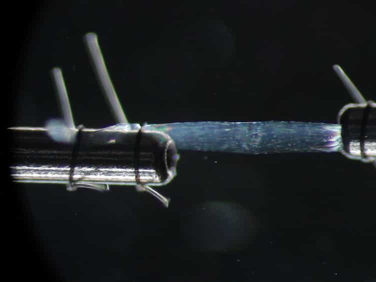 Measurement of Maximum Isometric Force Generated by Permeabilized Skeletal Muscle Fibers