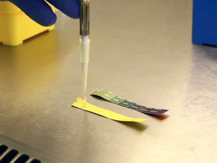 Concentric Gel System to Study the Biophysical Role of Matrix Microenvironment on 3D Cell Migration