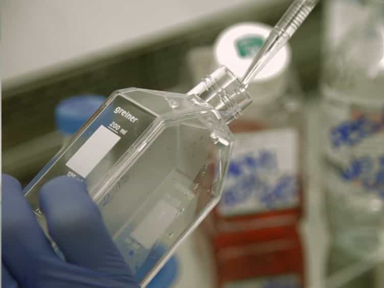Evaluation of the Efficacy of the H. pylori Protein HP-NAP as a Therapeutic Tool for Treatment of Bladder Cancer in an Orthotopic Murine Model
