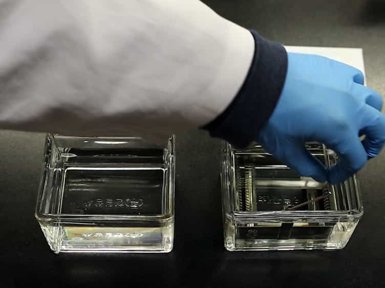 In Situ Detection of Bacteria within Paraffin-embedded Tissues Using a Digoxin-labeled DNA Probe Targeting 16S rRNA
