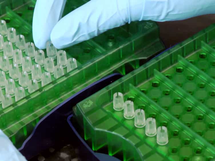 IridiumIII Luminescent Probe for Detection of the Malarial Protein Biomarker Histidine Rich Protein-II