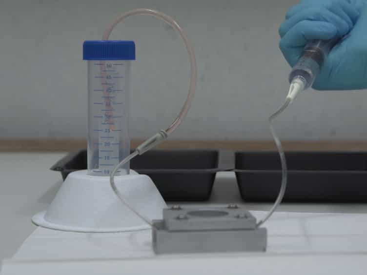 In Vitro and In Vivo Model to Study Bacterial Adhesion to the Vessel Wall Under Flow Conditions