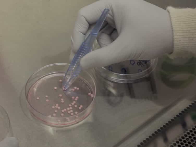 Implementation of In Vitro Drug Resistance Assays: Maximizing the Potential for Uncovering Clinically Relevant Resistance Mechanisms