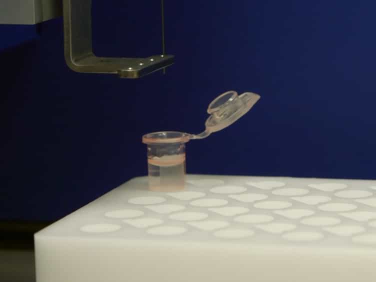 qPCRTag Analysis - A High Throughput, Real Time PCR Assay for Sc2.0 Genotyping
