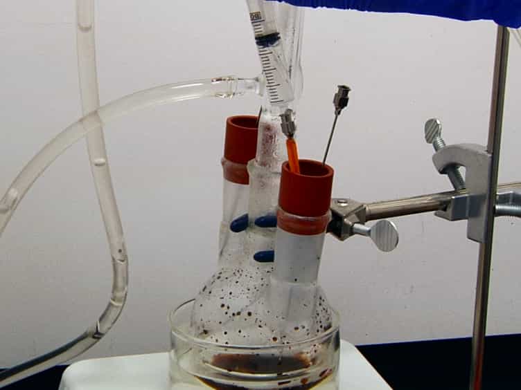 Fabrication of a Functionalized Magnetic Bacterial Nanocellulose with Iron Oxide Nanoparticles