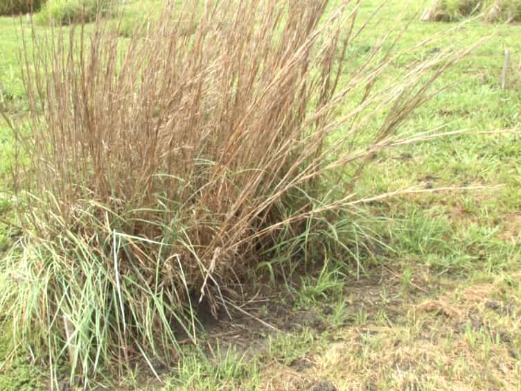 A CO2 Concentration Gradient Facility for Testing CO2 Enrichment and Soil Effects on Grassland Ecosystem Function