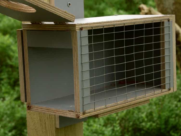 Thermal Imaging to Study Stress Non-invasively in Unrestrained Birds
