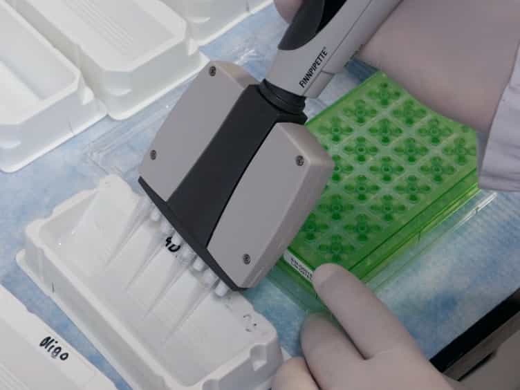 Using Isolated Mitochondria from Minimal Quantities of Mouse Skeletal Muscle for High throughput Microplate Respiratory Measurements