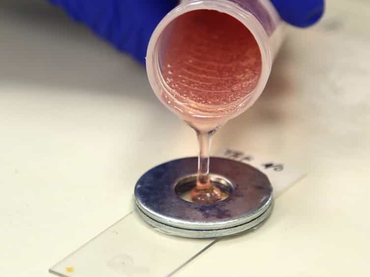Quantification of Colonic Stem Cell Mutations