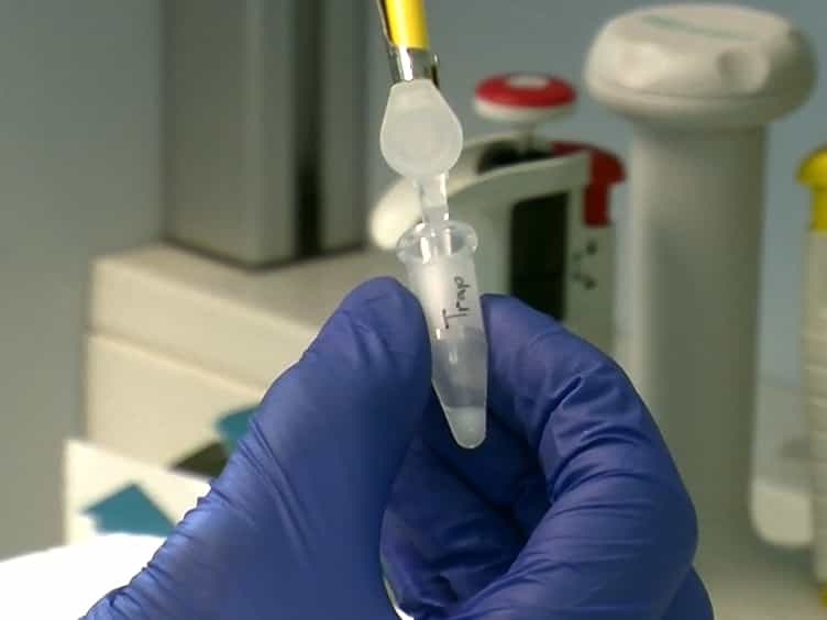 Comparing the Affinity of GTPase-binding Proteins using Competition Assays