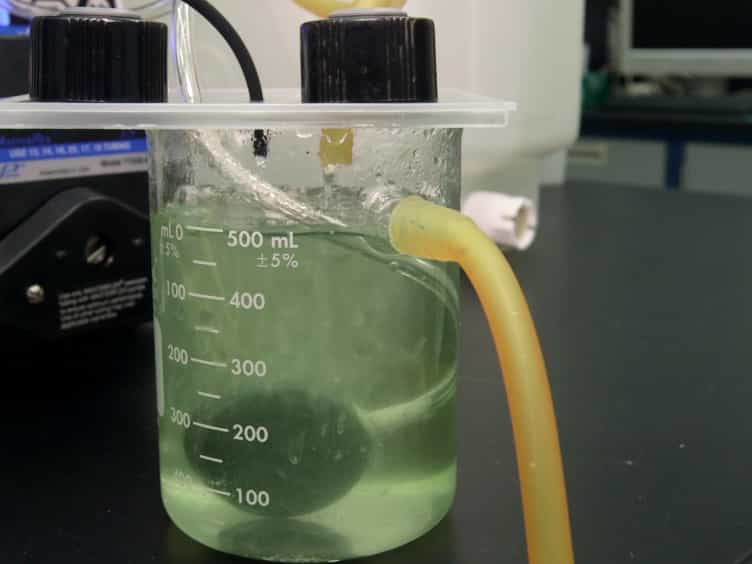 A Novel Bioreactor for High Density Cultivation of Diverse Microbial Communities