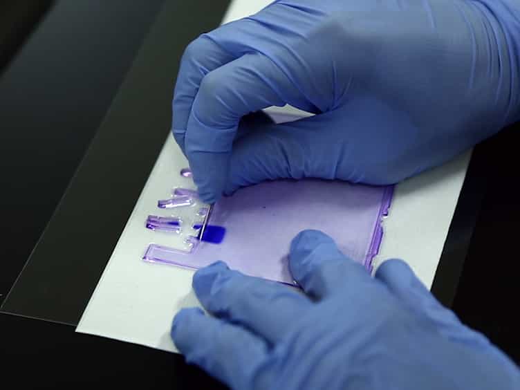 Isolation of Specific Genomic Regions and Identification of Associated Molecules by enChIP