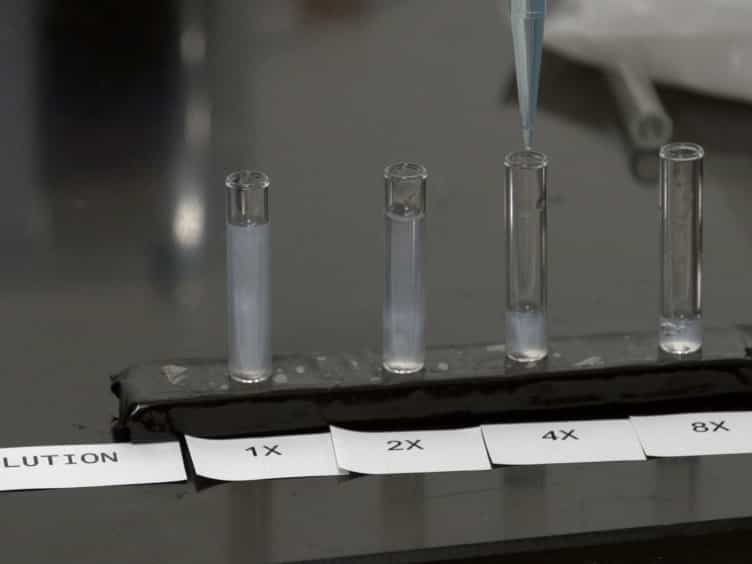 Synthesis and Exfoliation of Discotic Zirconium Phosphates to Obtain Colloidal Liquid Crystals