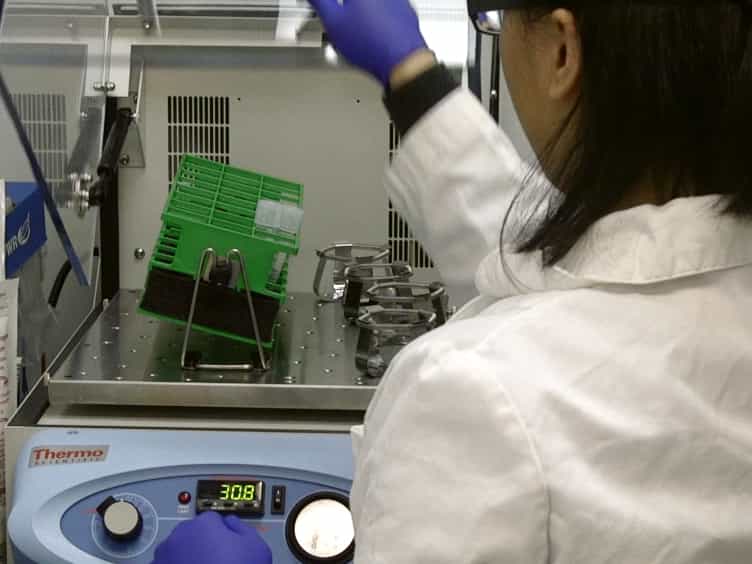 Radiolabeling and Quantification of Cellular Levels of Phosphoinositides by High Performance Liquid Chromatography-coupled Flow Scintillation
