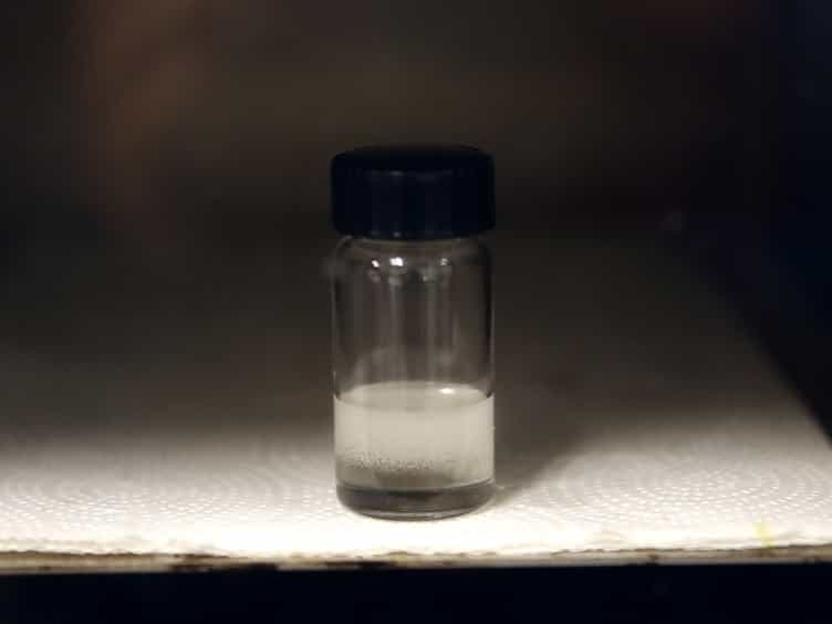 Synthesis of Programmable Main-chain Liquid-crystalline Elastomers Using a Two-stage Thiol-acrylate Reaction