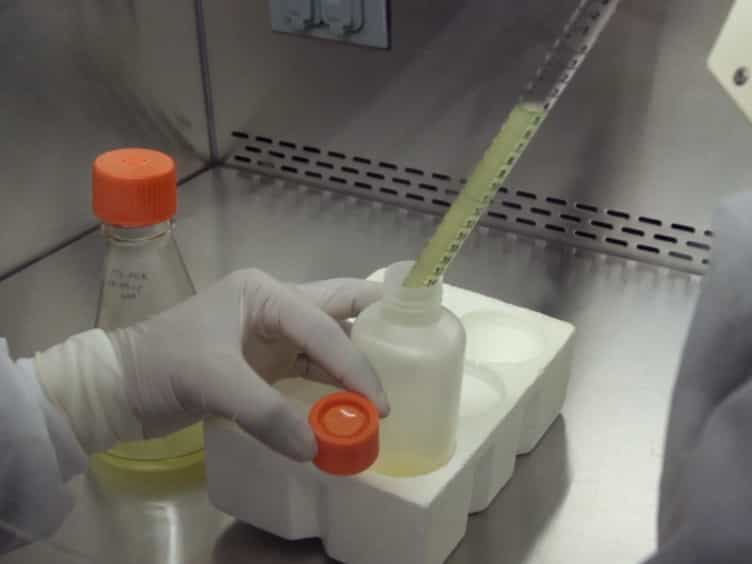 High Yield Expression of Recombinant Human Proteins with the Transient Transfection of HEK293 Cells in Suspension