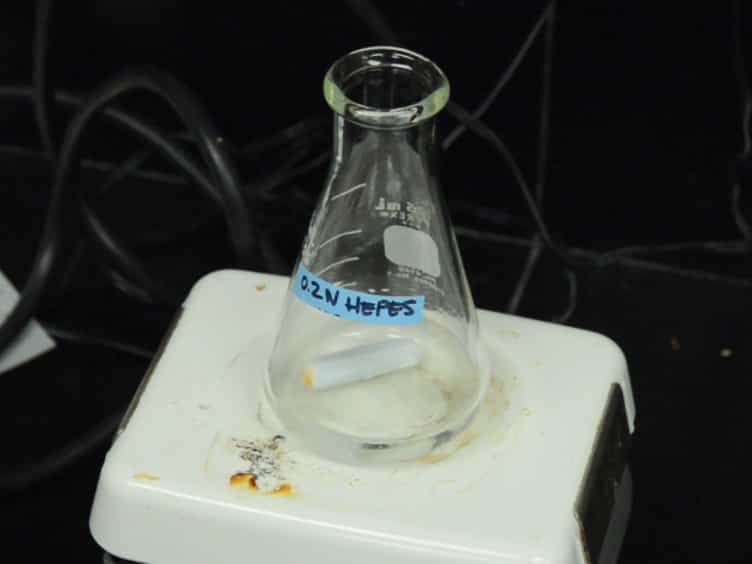 Three-dimensional Biomimetic Technology: Novel Biorubber Creates Defined Micro- and Macro-scale Architectures in Collagen Hydrogels