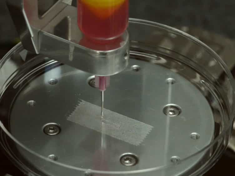 Bioprinting Cellularized Constructs Using a Tissue-specific Hydrogel Bioink