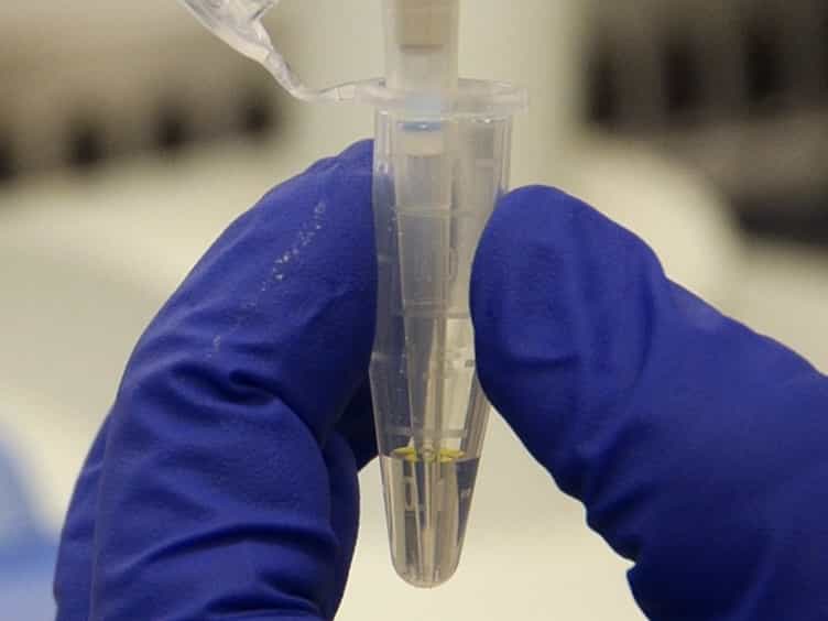 A Duplex Digital PCR Assay for Simultaneous Quantification of the Enterococcus spp. and the Human Fecal-associated HF183 Marker in Waters