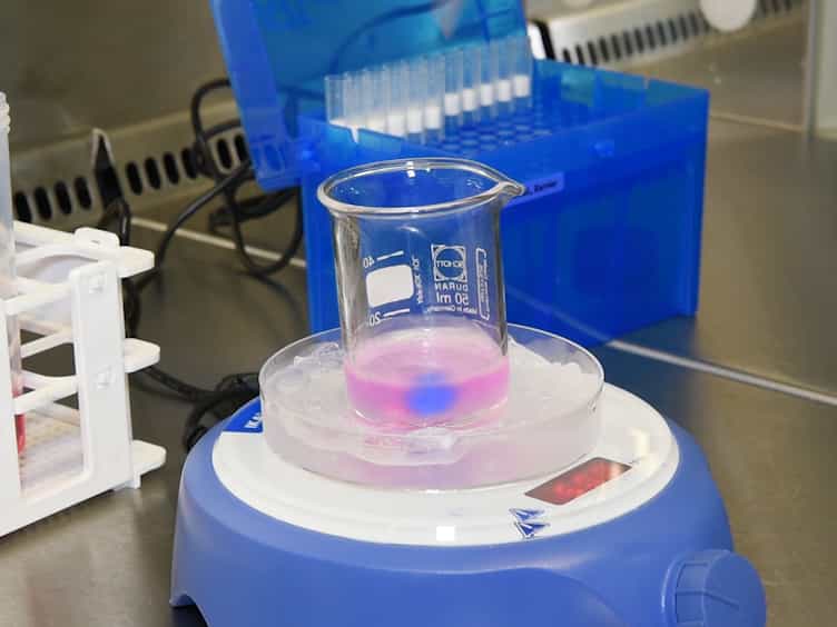 Improving 2D and 3D Skin In Vitro Models Using Macromolecular Crowding