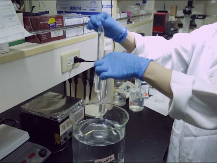 Gradient Strain Chip for Stimulating Cellular Behaviors in Cell-laden Hydrogel