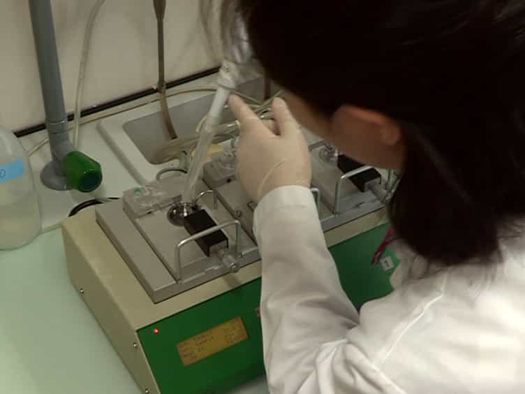 En Face Detection of Nitric Oxide and Superoxide in Endothelial Layer of Intact Arteries