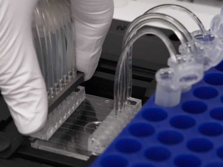 Microfluidic Flow Chambers Using Reconstituted Blood to Model Hemostasis and Platelet Transfusion In Vitro
