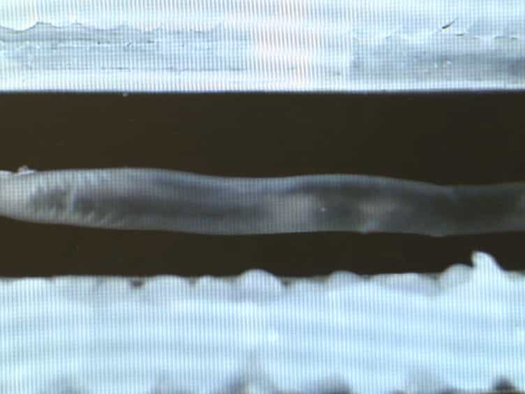 Video Imaging and Spatiotemporal Maps to Analyze Gastrointestinal Motility in Mice