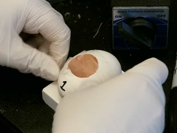 Gene Transfer into the Chicken Auditory Organ by In Ovo Micro-electroporation