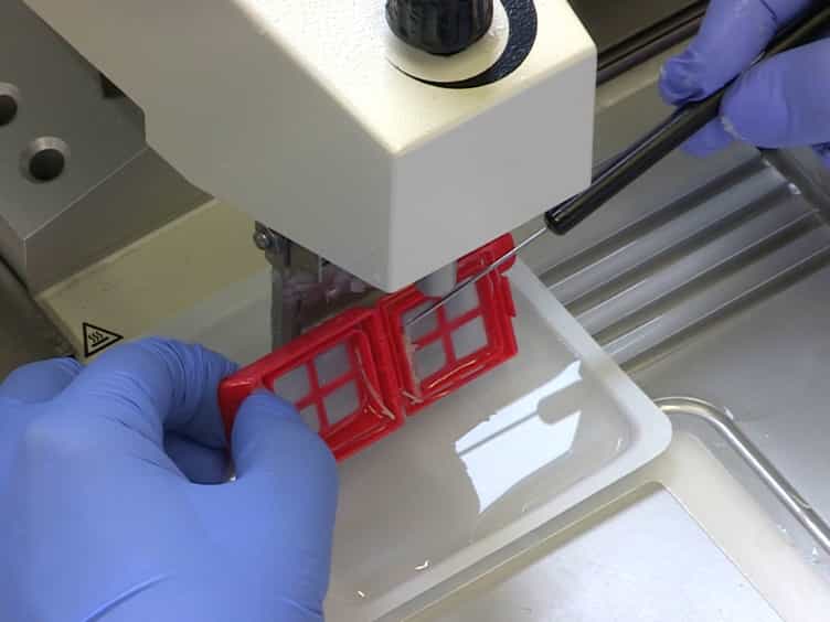 Laser-assisted Microdissection LAM as a Tool for Transcriptional Profiling of Individual Cell Types