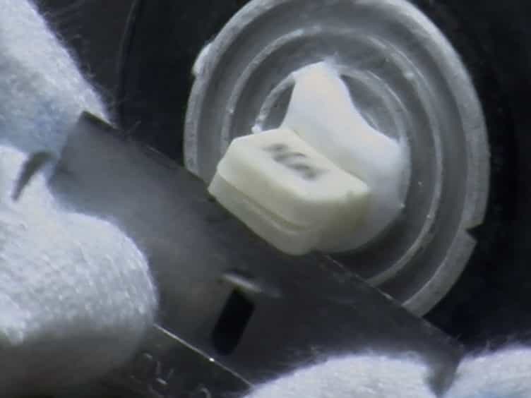Assessing Primary Neurogenesis in Xenopus Embryos Using Immunostaining