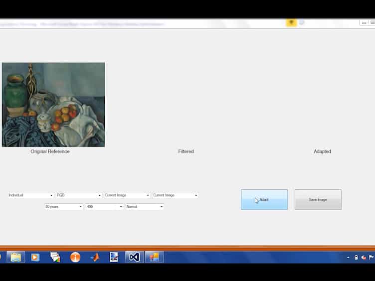 Visualizing Visual Adaptation