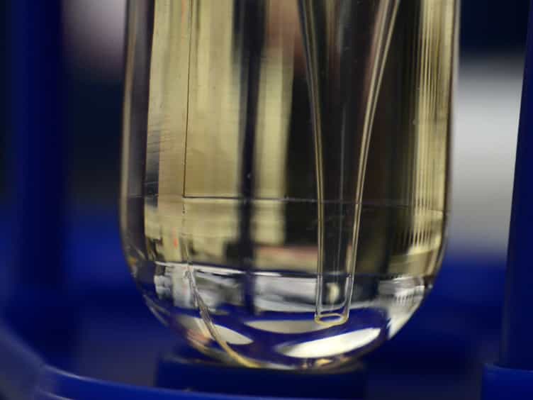 Expression and Purification of Virus-like Particles for Vaccination