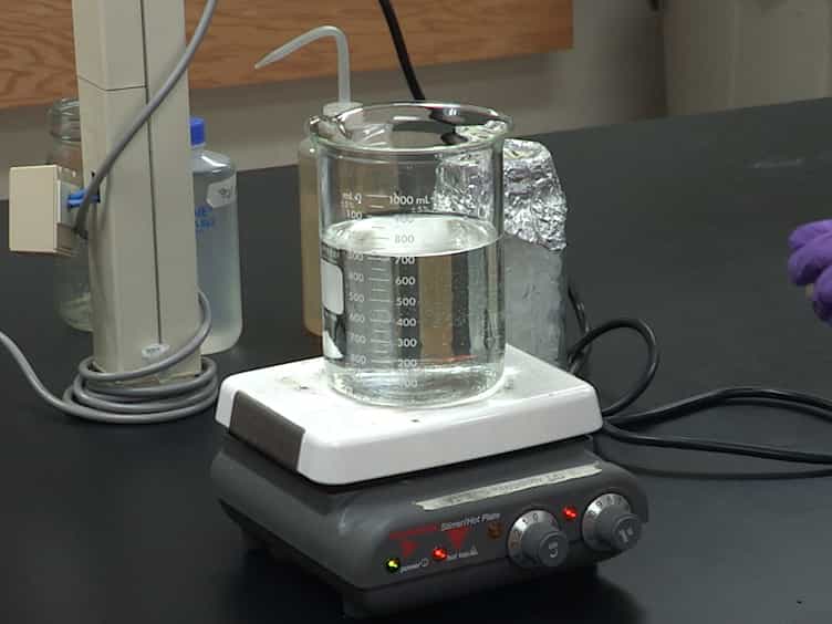 Rapid Verification of Terminators Using the pGR-Blue Plasmid and Golden Gate Assembly