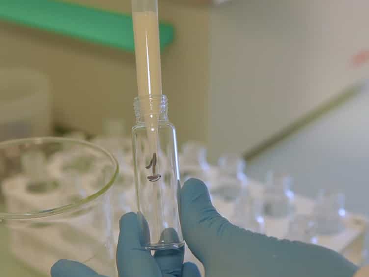 PTR-ToF-MS Coupled with an Automated Sampling System and Tailored Data Analysis for Food Studies: Bioprocess Monitoring, Screening and Nose-space Analysis