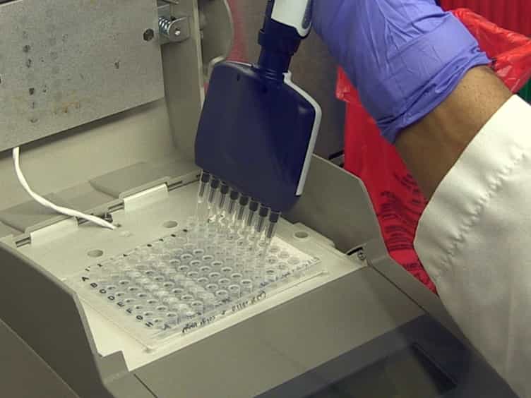Unbiased Deep Sequencing of RNA Viruses from Clinical Samples