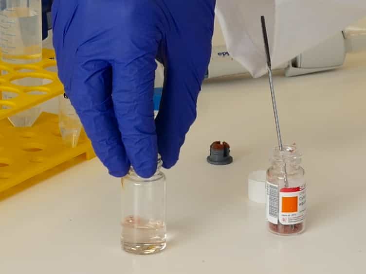 Synthesis of Protein Bioconjugates via Cysteine-maleimide Chemistry