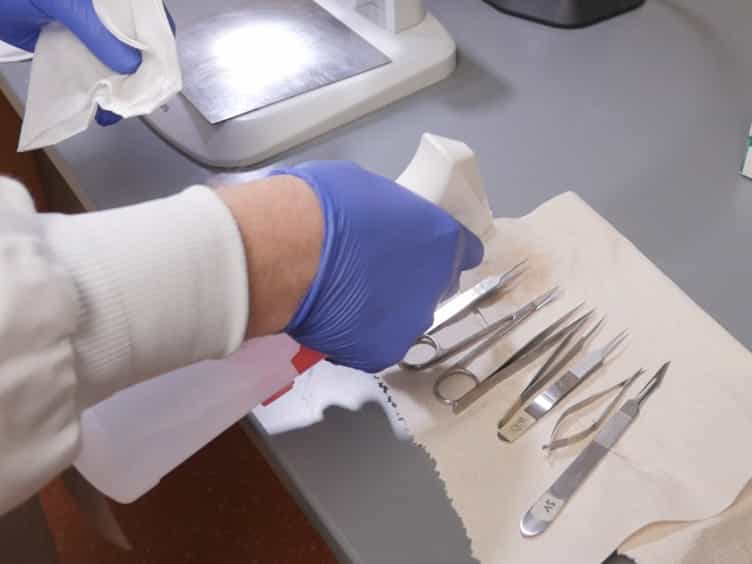 The Fibular Nerve Injury Method: A Reliable Assay to Identify and Test Factors That Repair Neuromuscular Junctions
