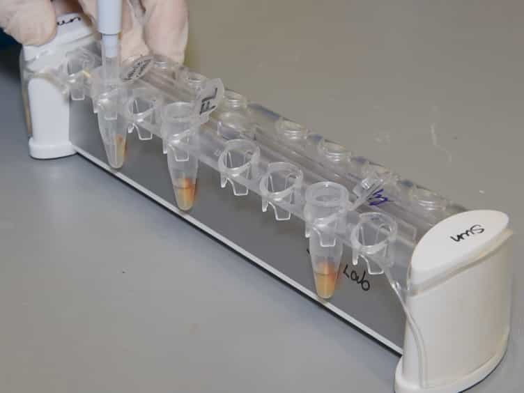 Detection of RNA-binding Proteins by In Vitro RNA Pull-down in Adipocyte Culture