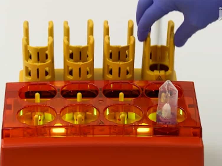 Depletion of Mouse Cells from Human Tumor Xenografts Significantly Improves Downstream Analysis of Target Cells