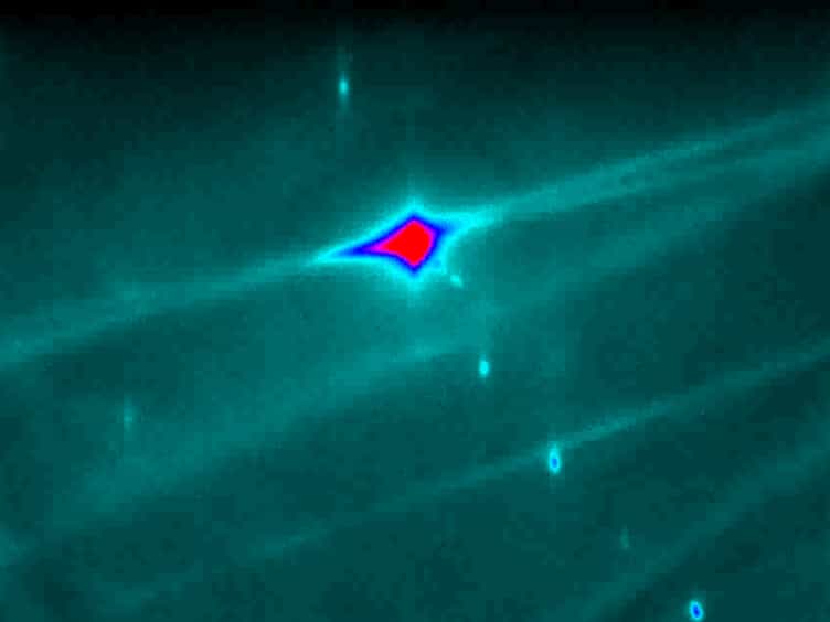 Epitaxial Growth of Perovskite Strontium Titanate on Germanium via Atomic Layer Deposition