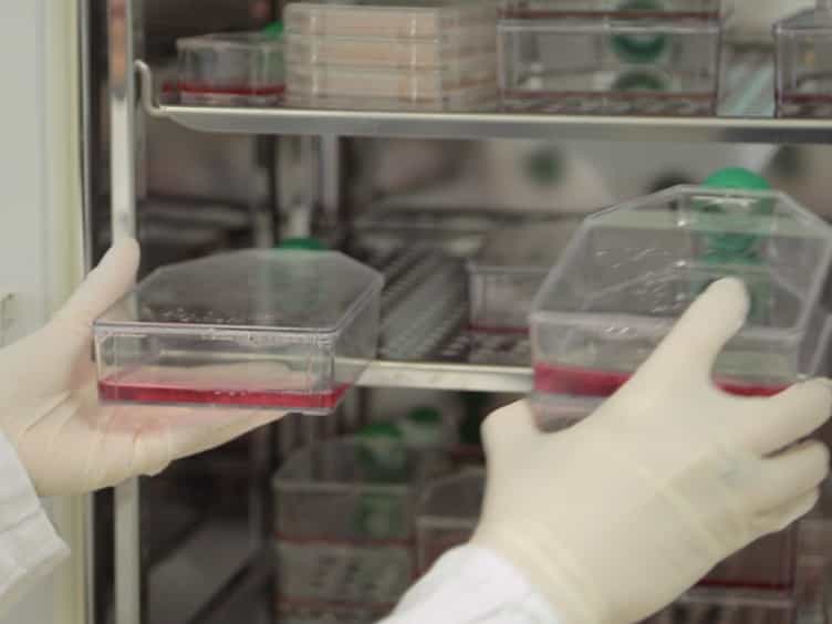 In Vitro Permeation of FITC-loaded Ferritins Across a Rat Blood-brain Barrier: a Model to Study the Delivery of Nanoformulated Molecules