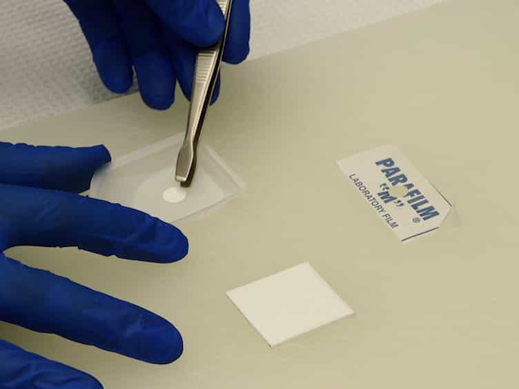 Filtration Isolation of Nucleic Acids: A Simple and Rapid DNA Extraction Method